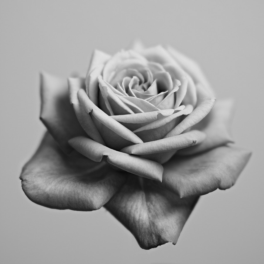 image11
